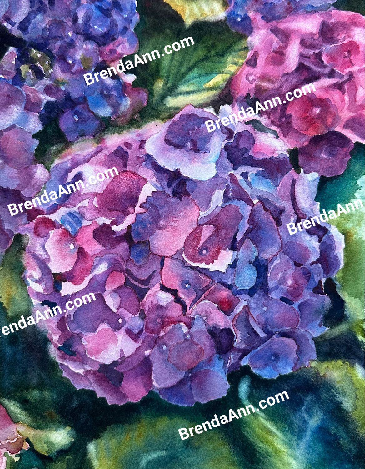 Hydrangea Dreams Watercolor Print - Floral Beach Home Art Gift - Stone Harbor NJ Artist