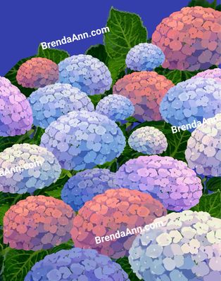 South Jersey Hydrangeas - Printed Digital Art