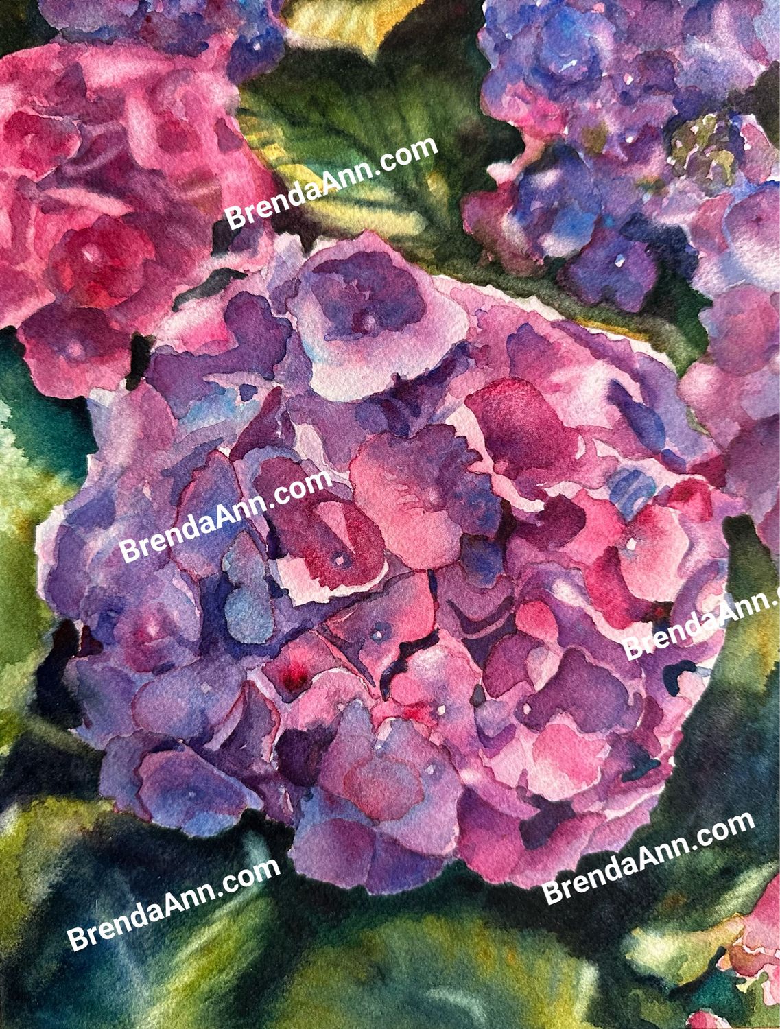 Hydrangea Bliss Watercolor Print - Floral Beach Home Art Gift - Stone Harbor NJ Artist