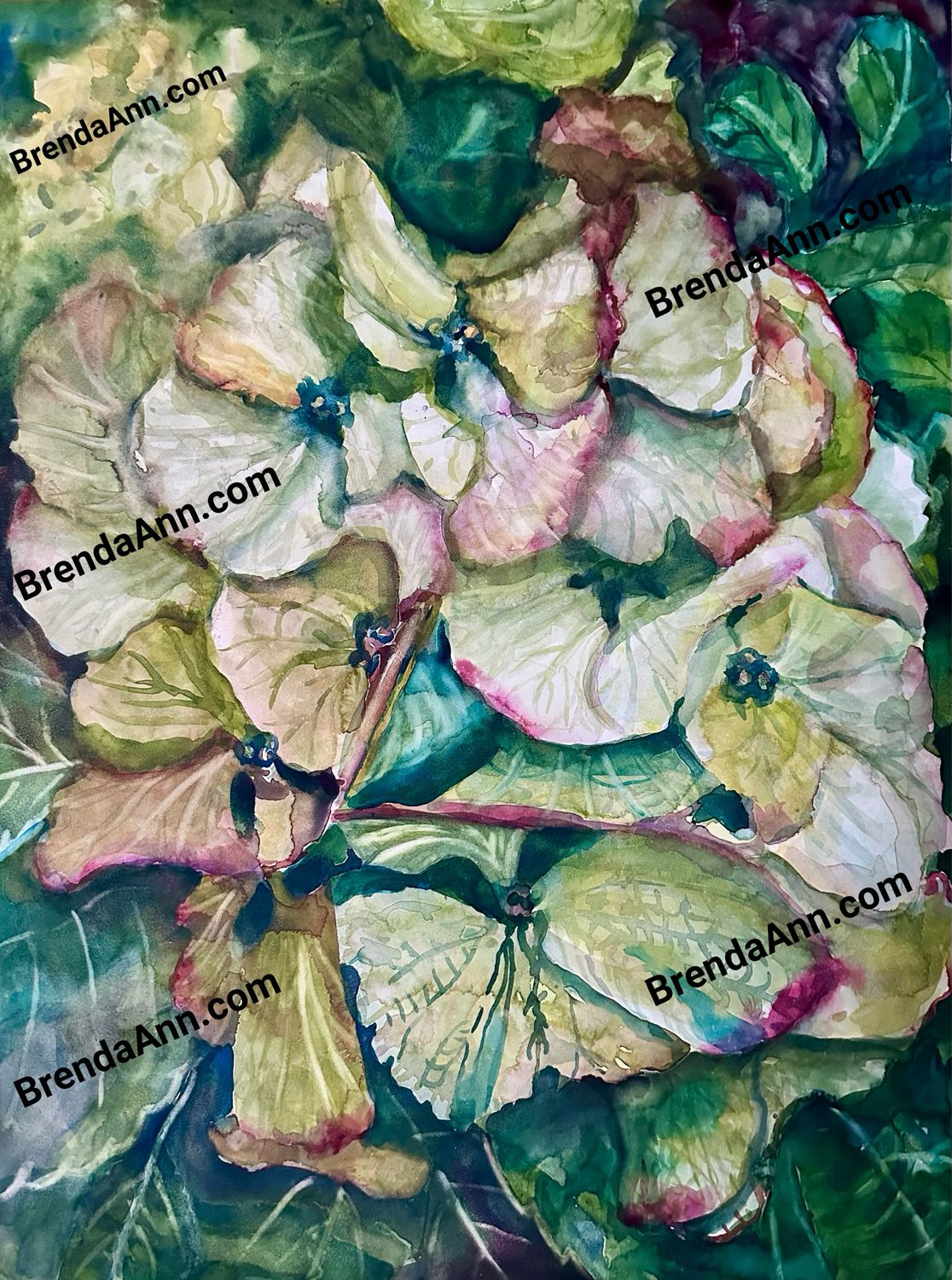 “Into The Olive Green” Hydrangea Watercolor Print - Floral Beach Home Art Gift - Stone Harbor NJ Artist