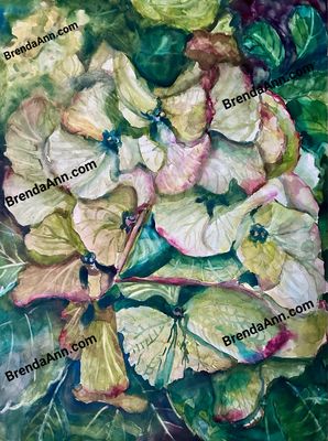 “Into The Olive Green” Hydrangea Watercolor Print - Floral Beach Home Art Gift - Stone Harbor NJ Artist