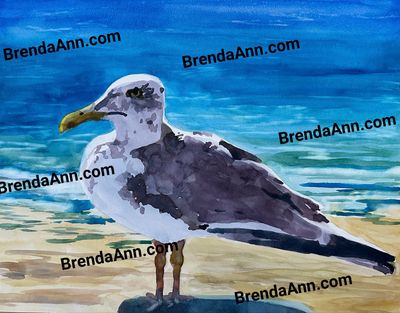 Weathered Seagull – Stone Harbor Watercolor Print