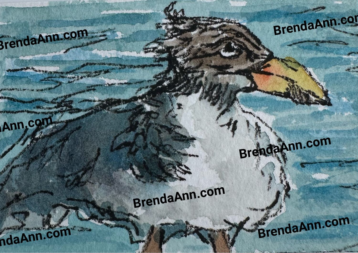 Grumpy Seagull Watercolor Print - Beach Home Art Gift - Stone Harbor NJ Artist