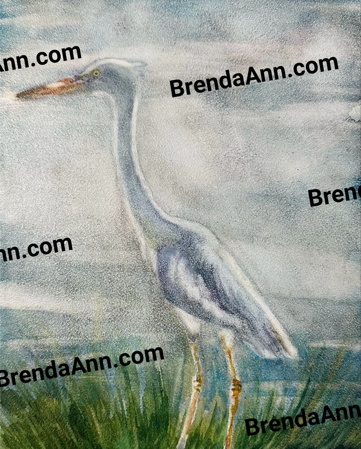 Coastal Heron Watercolor Print - Beach Home Art Gift - Stone Harbor NJ Artist