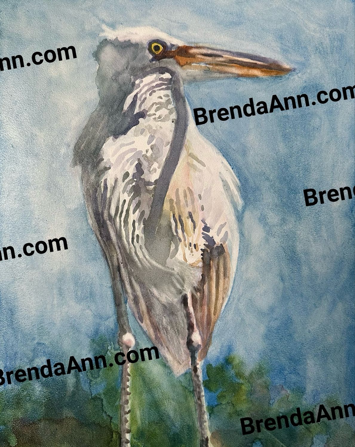 Ruffled Heron 11”x14” Painting - ORIGINAL Watercolor On Museum Grade Cradled Board - Wall Art