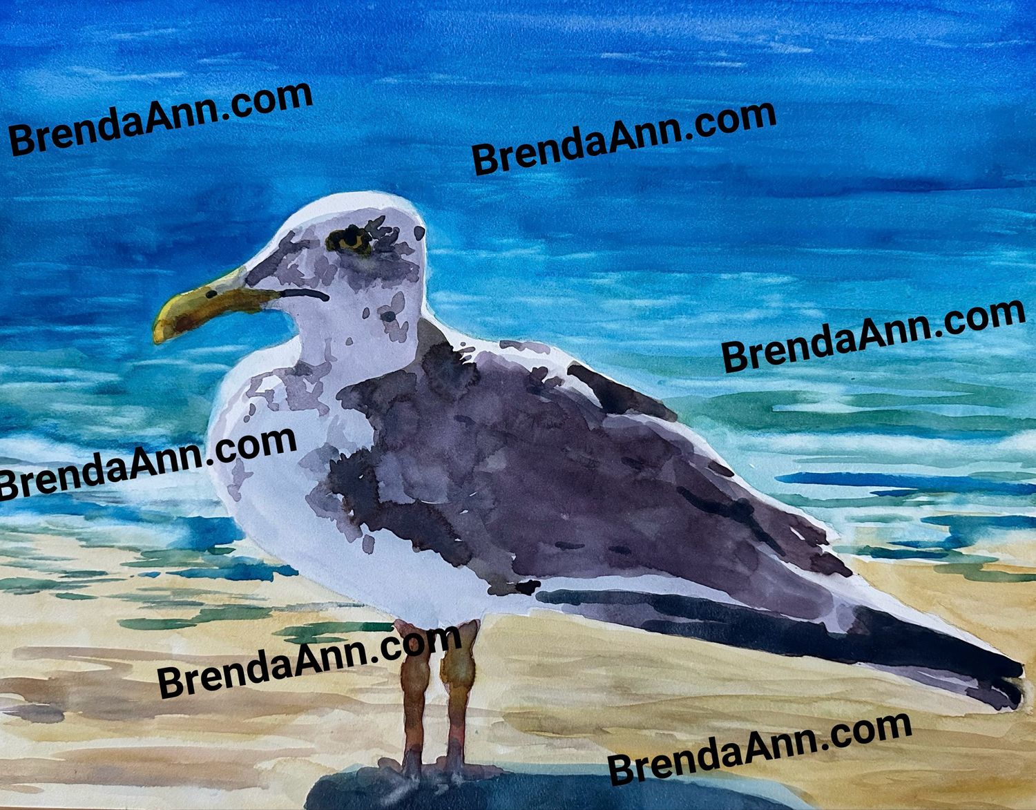 Weathered Seagull 11”x14” Painting - ORIGINAL Watercolor On Museum Grade Cradled Board - Wall Art