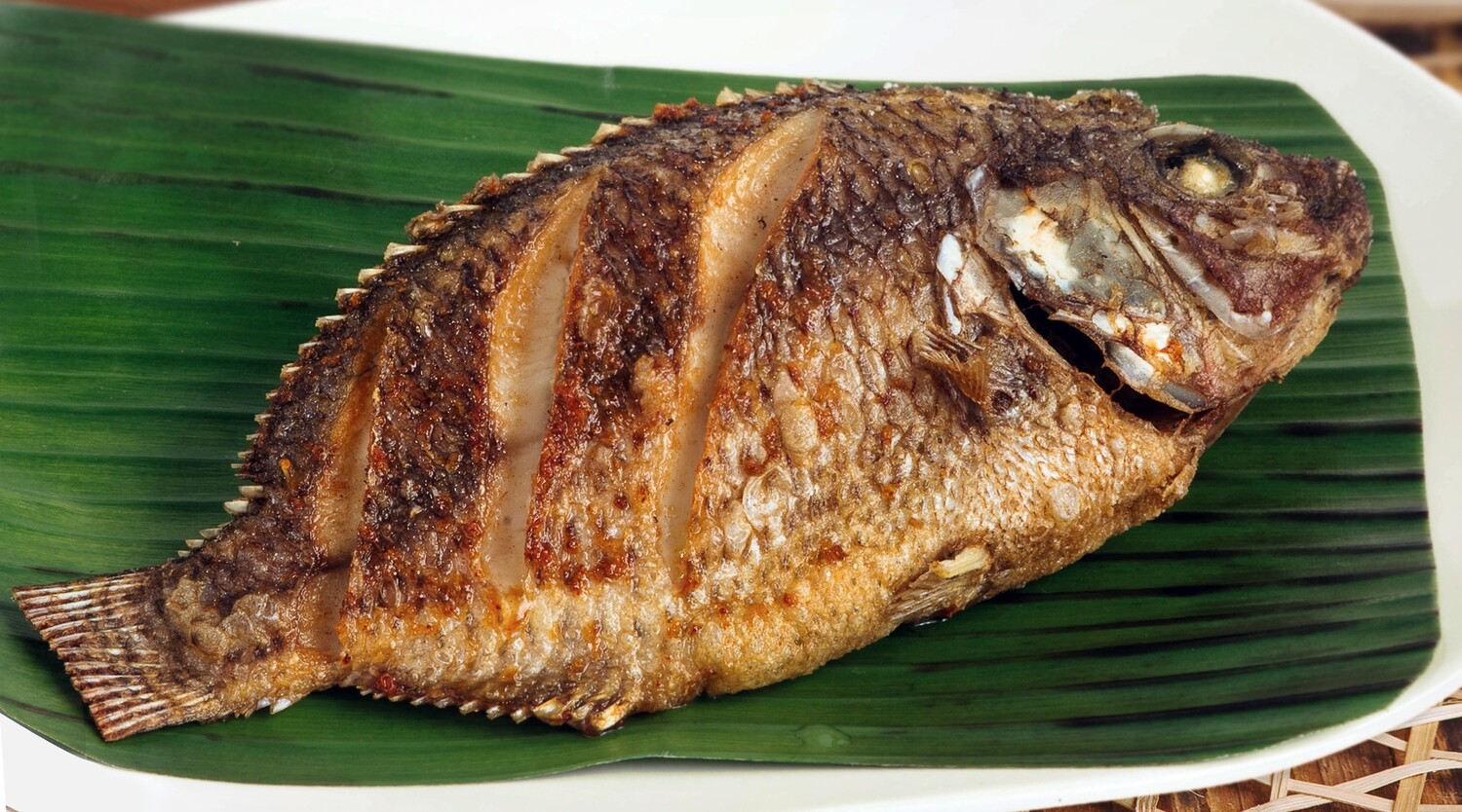 FRIED TILAPYA