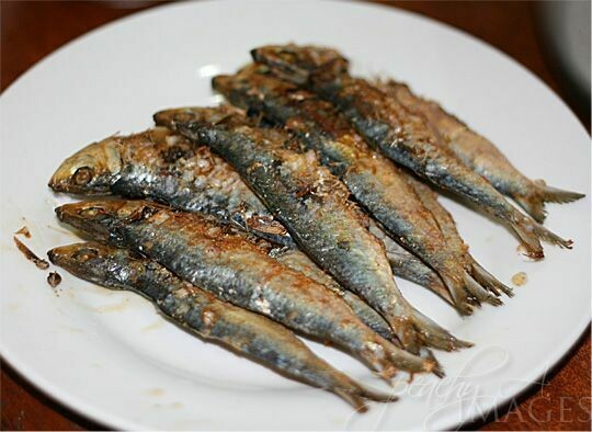 Tuyo