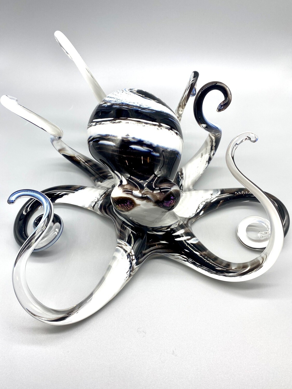 Medium, Handblown Glass Black and White Octopus, Michael Hopko Weaverville, CA 