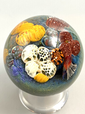 Md Coral Reef Marble - Aaron Slater - Iowell, MA