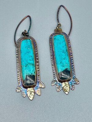 Volcanic Blue Opal Petrified Wood Earrings