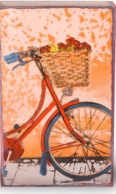 #229 RETIRED Fresh Ride, Houston Llew, Charleston, SC