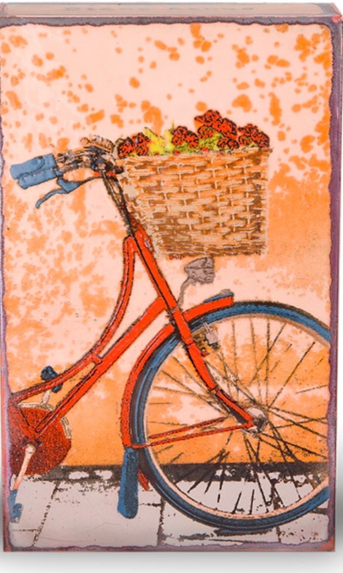#229 RETIRED Fresh Ride, Houston Llew, Charleston, SC