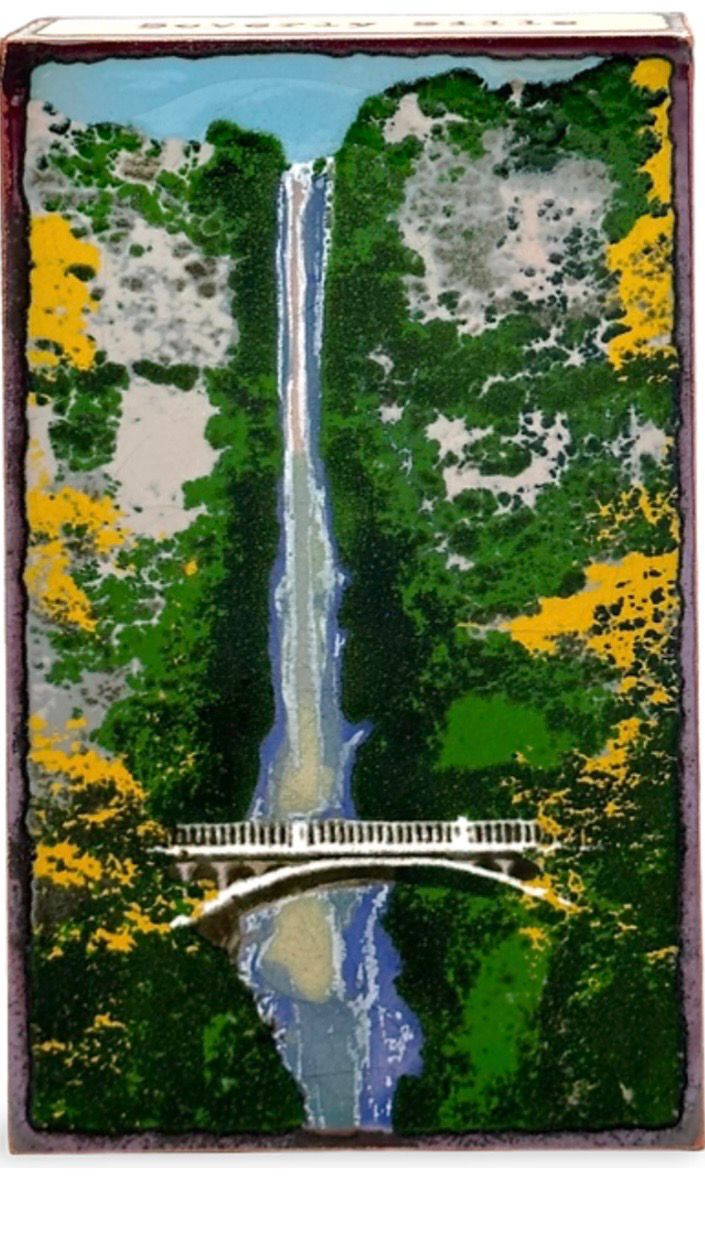 #282 RETIRED Endless Falls, Houston Llew, Charleston, SC