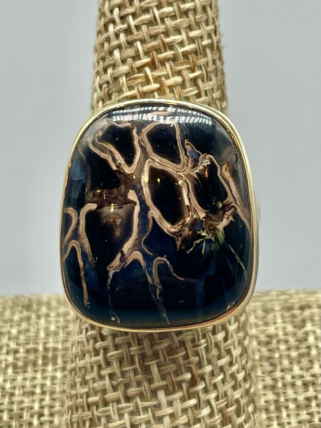 Fossilized Palm Wood Ring