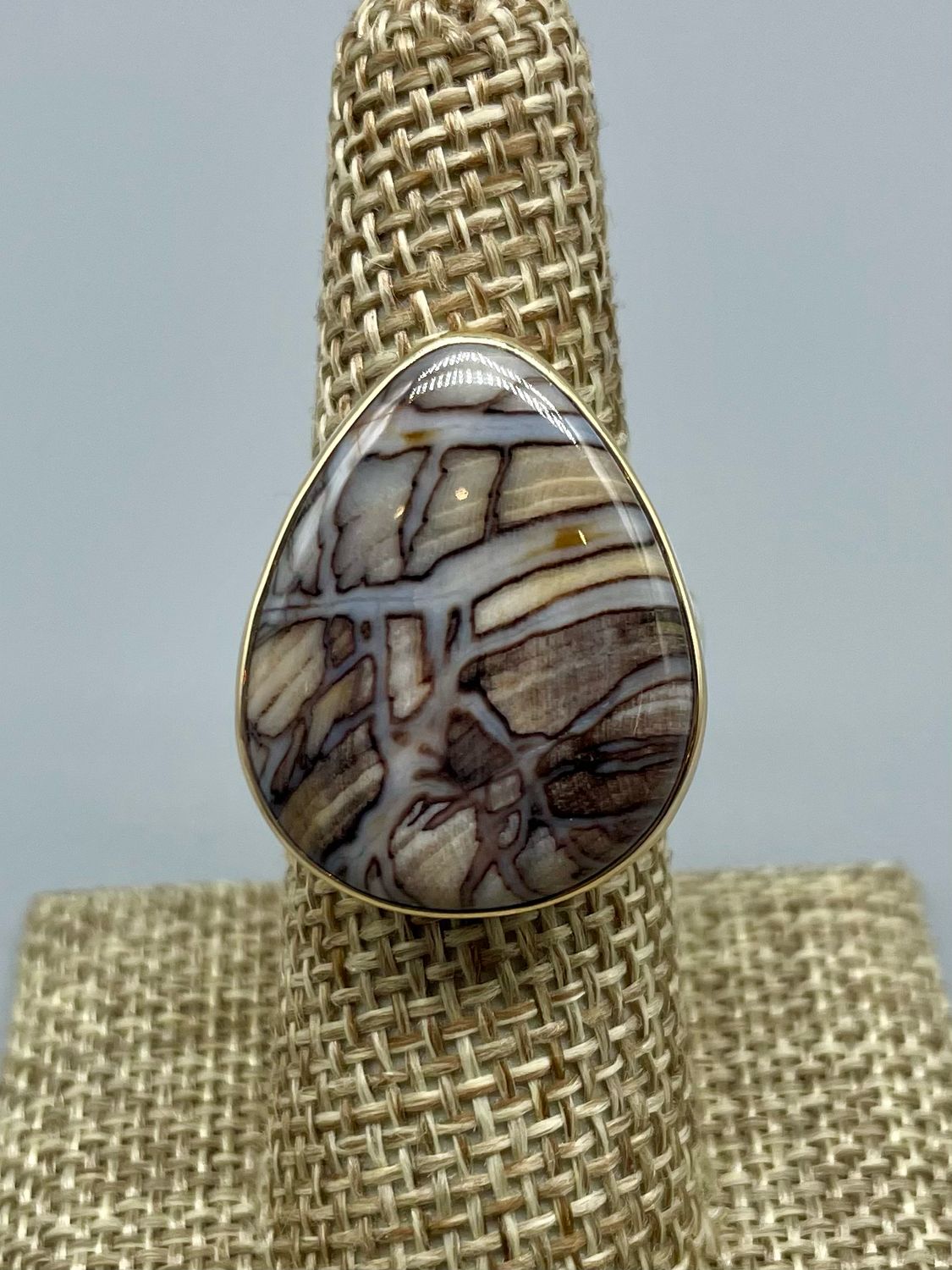 Fossilized Channel Wood Ring