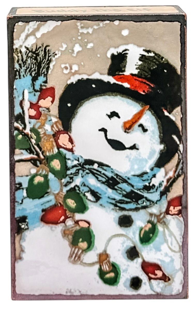 #290 Frosty  Spiritile - Charleston SC