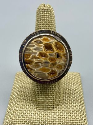 Petrified Wood Ring