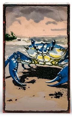 #295  RETIRED Sidestep Spiritile -  Houston Llew, Charleston, NC