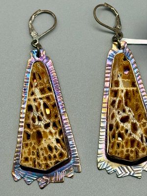 Petrified Wood Druzy Earrings