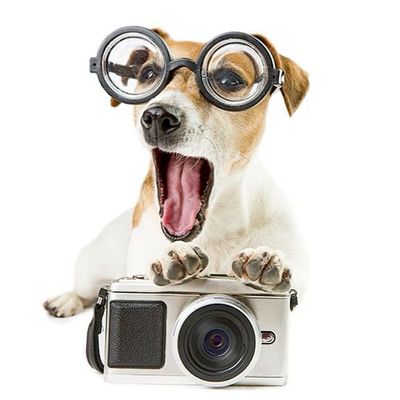 Galerie photos