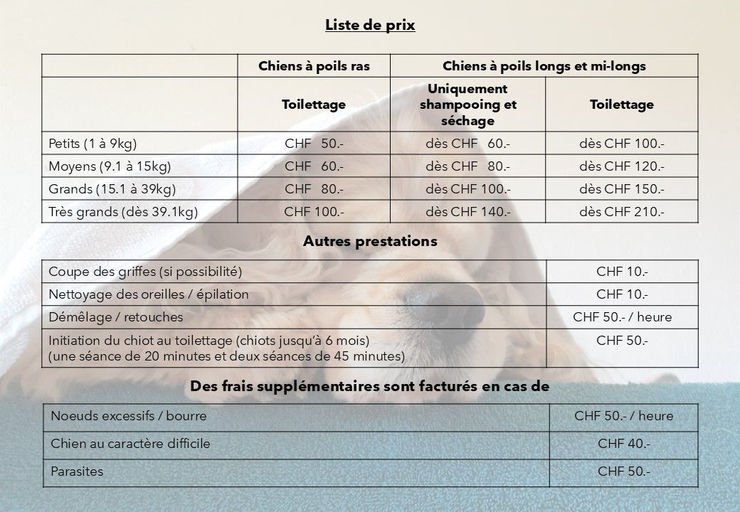 Bouille de chien toilettage - liste des prestations et prix
