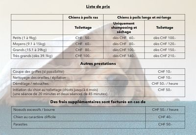 Bouille de chien toilettage - liste des prestations et prix