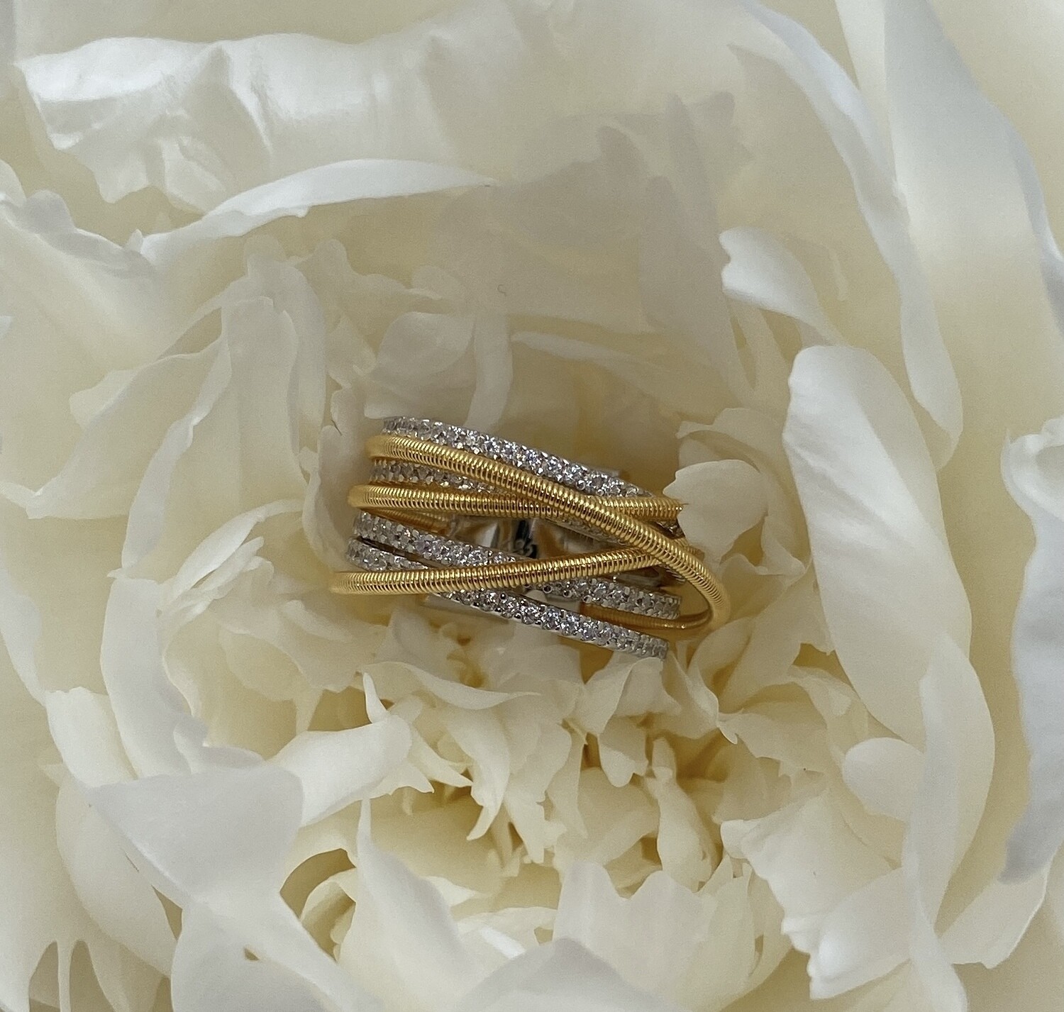 SOLAR RING