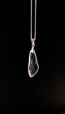 Carpenter Bee Wing Necklace