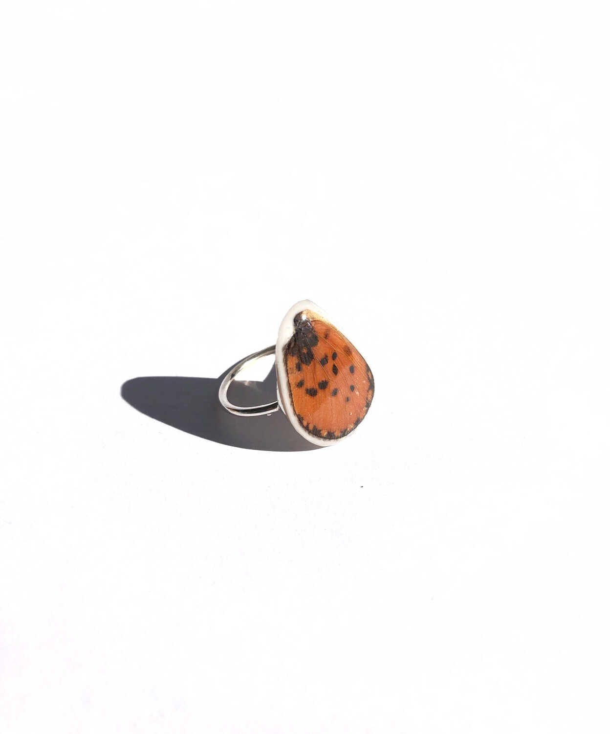 Butterfly Wing Ring | Size 8