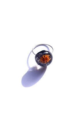 Ladybird Ring | Size 6