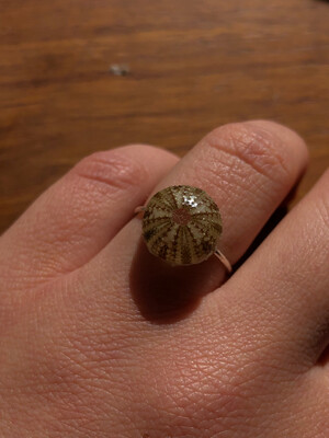 Dainty Sea Urchin Ring