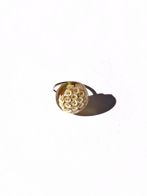 Helichrysum Sewejaartjie Ring | Size 9