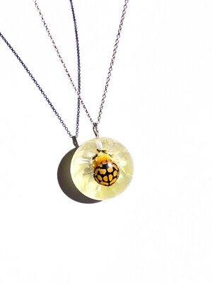 Ladybird on a Sewejaartjie Globe Necklace