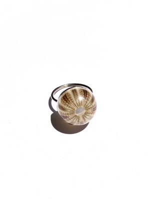 Sea Urchin Dome Ring | Size 8