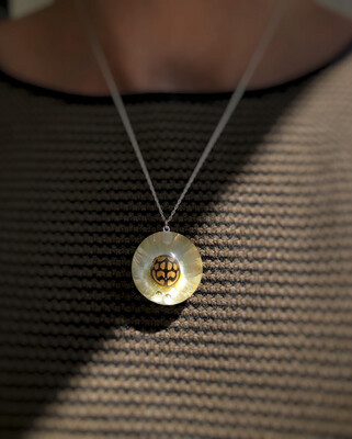 Medium Ladybird on a Sewejaartjie Globe Necklace