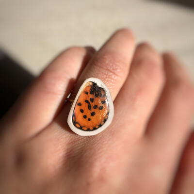 Spotted Tuinrooitjie Butterfly Wing Ring | Size 7
