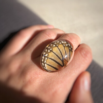 Monarch Butterfly Wing Ring | Size 7