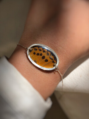 Amber Butterfly Wing Bracelet