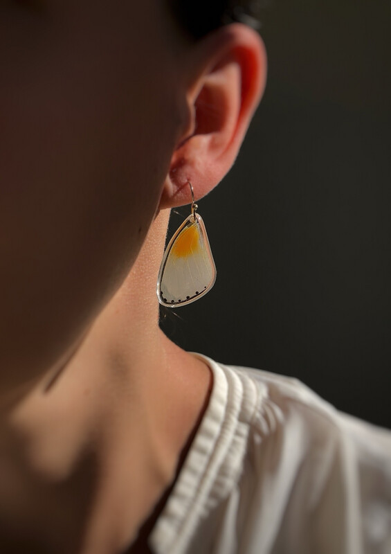 Orange &amp; White Butterfly Dangles