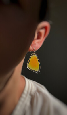 Apricot Ombre Butterfly Dangles