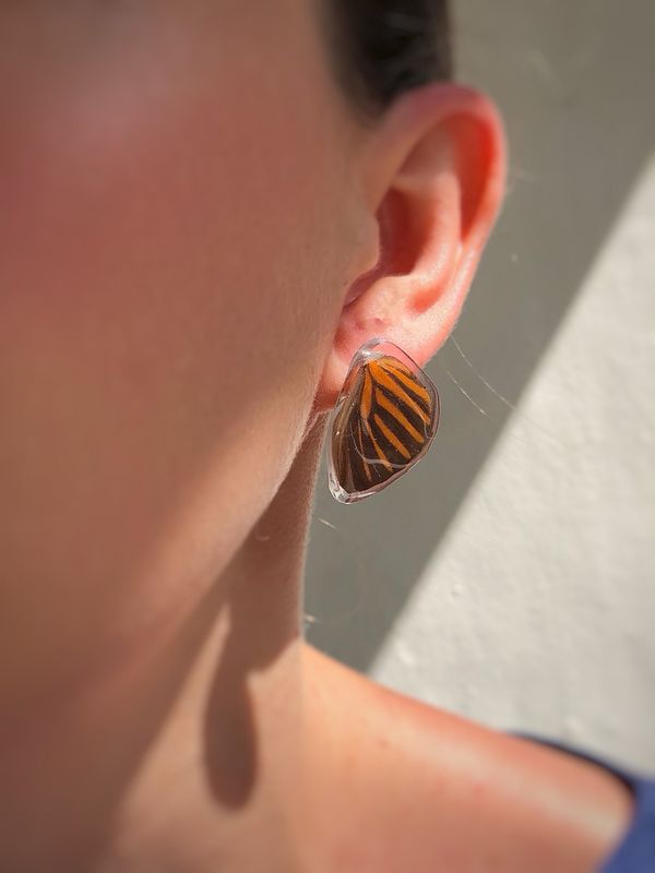 Striped Moth Earrings