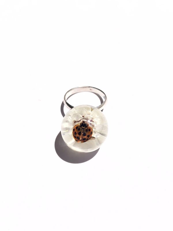 Ladybird Everlasting Ring | Size 9