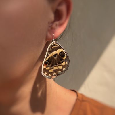 Birthday Month Butterflies