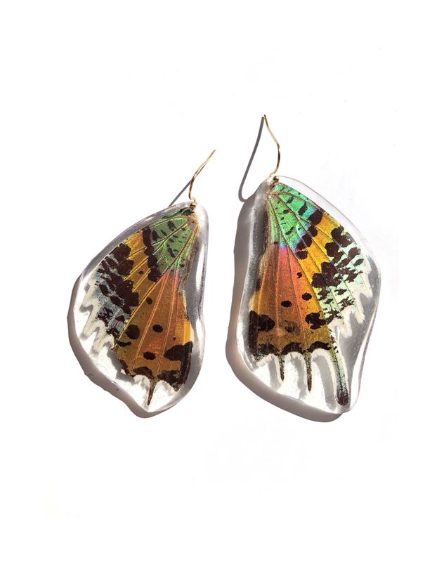 Rainbow Sunset Moth Dangles