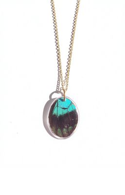 Butterfly Wing Oval Necklace