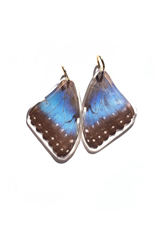 Blue Owl Moth Dangles