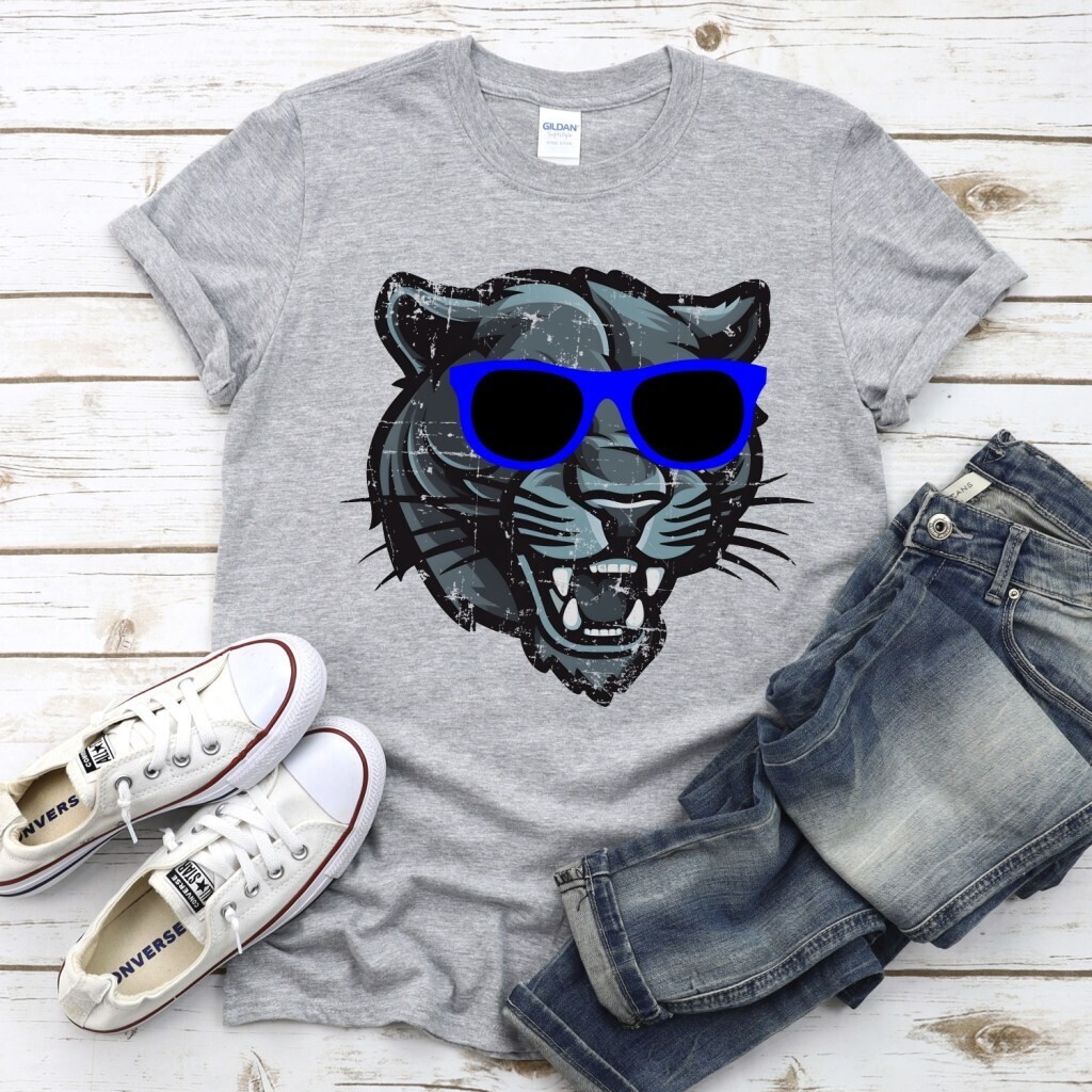Panthers Sunglasses