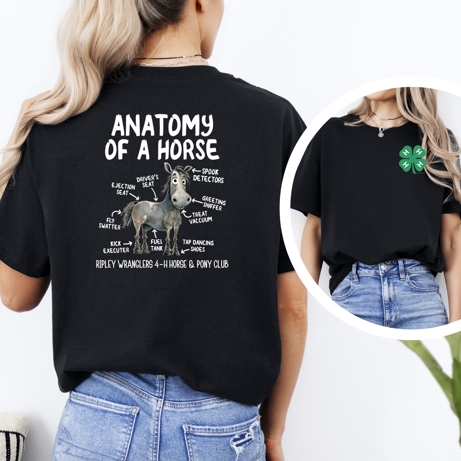 Anatomy of a Horse
