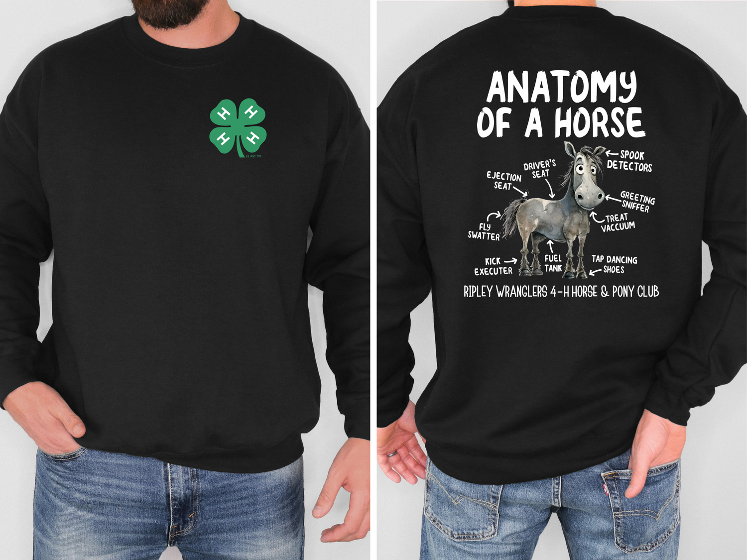 Anatomy of a Horse